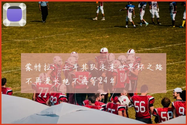 蒙特拉：土耳其队未来世界杯之路不再漫长绝不再等24年